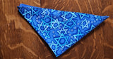 Judaica lined/reversible napkins Passover Hanukkah too!