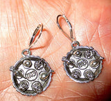 passover theme silver earrings seder plates / sterling silver lever backs