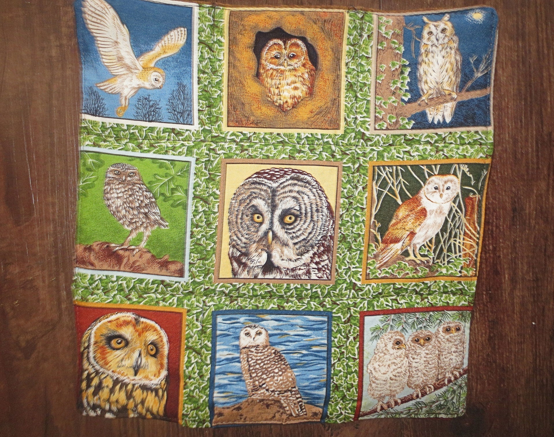 owls 9 different species bird lovers set of 2 insulated reversible snack place mats choice of sets owl lovers