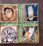 Owls mini mats different species bird lovers insulated reversible snack mug rugs choice of sets owl lovers