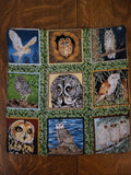 Owls 9 different species bird lovers insulated reversible snack place mat