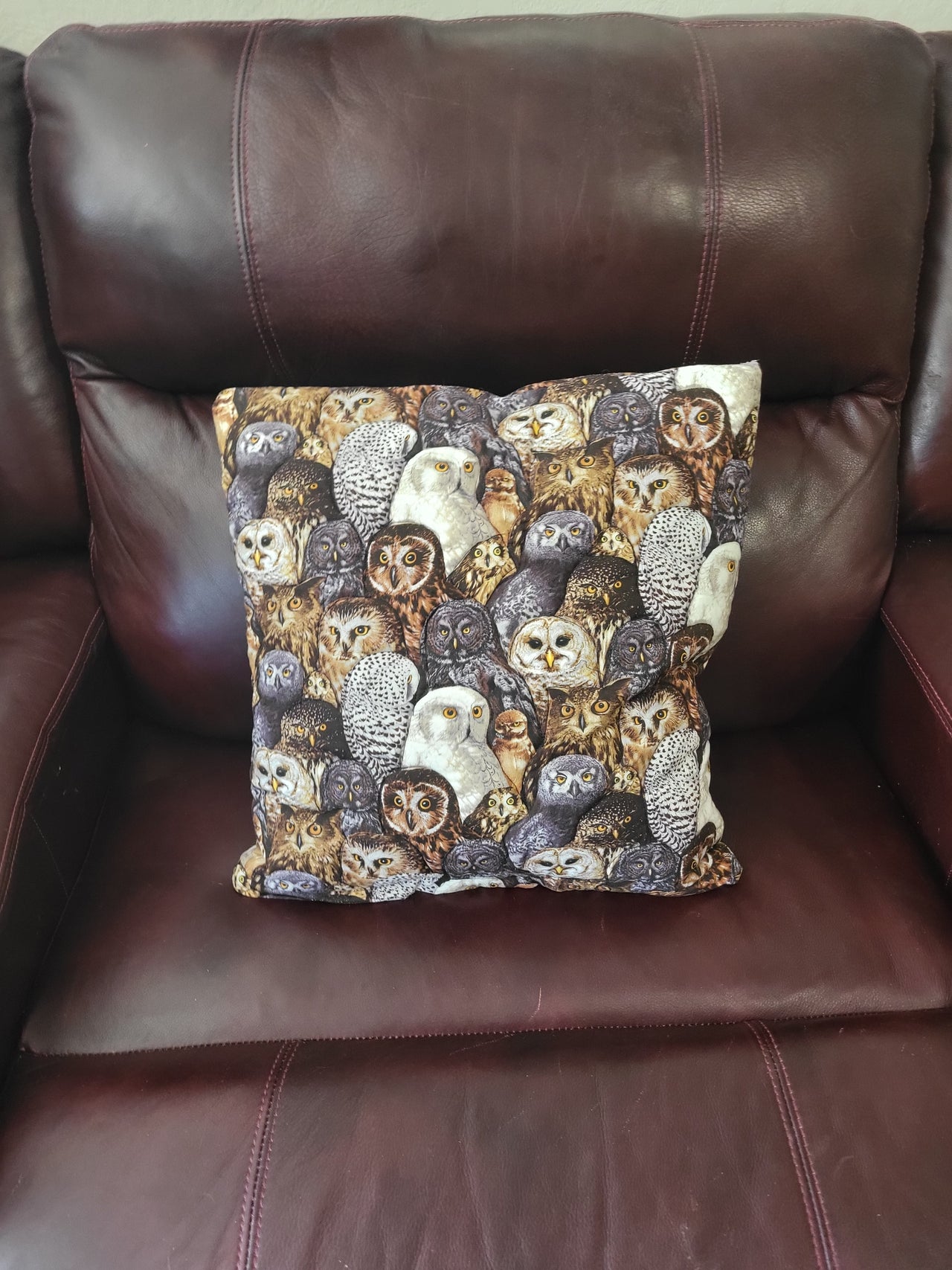 Realistic Owl Species quilted pillow cover