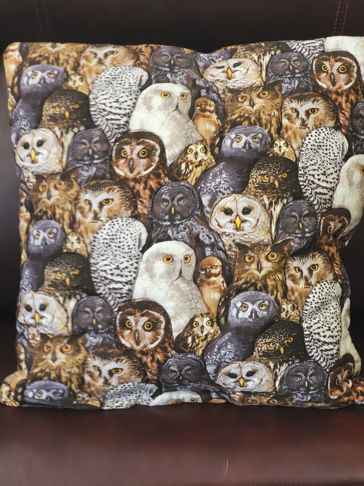 Realistic Owl Species quilted pillow cover
