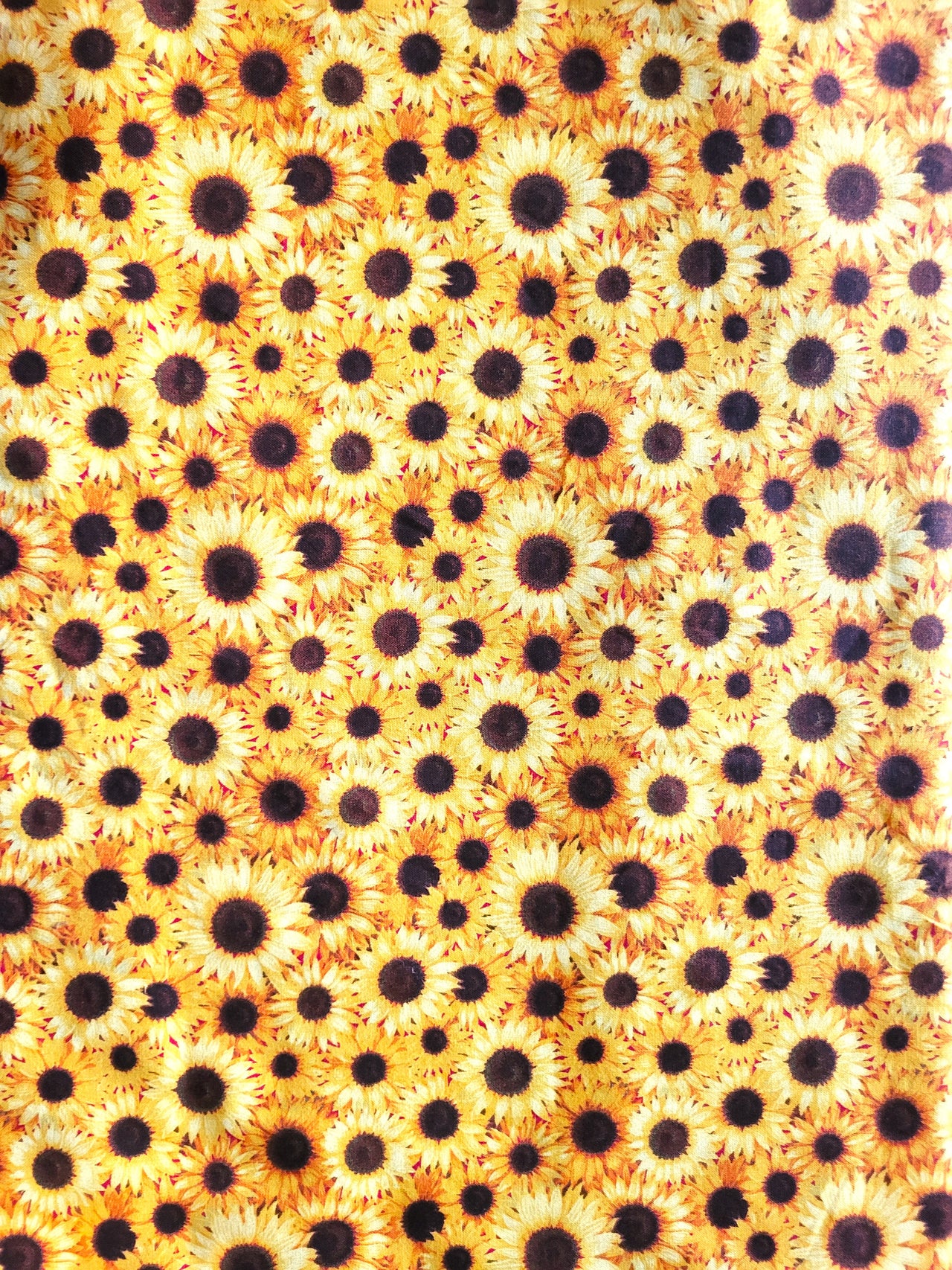 Sunflowers cotton sewing quilting fabric bhy x 44" w 2021 Fabric Traditions