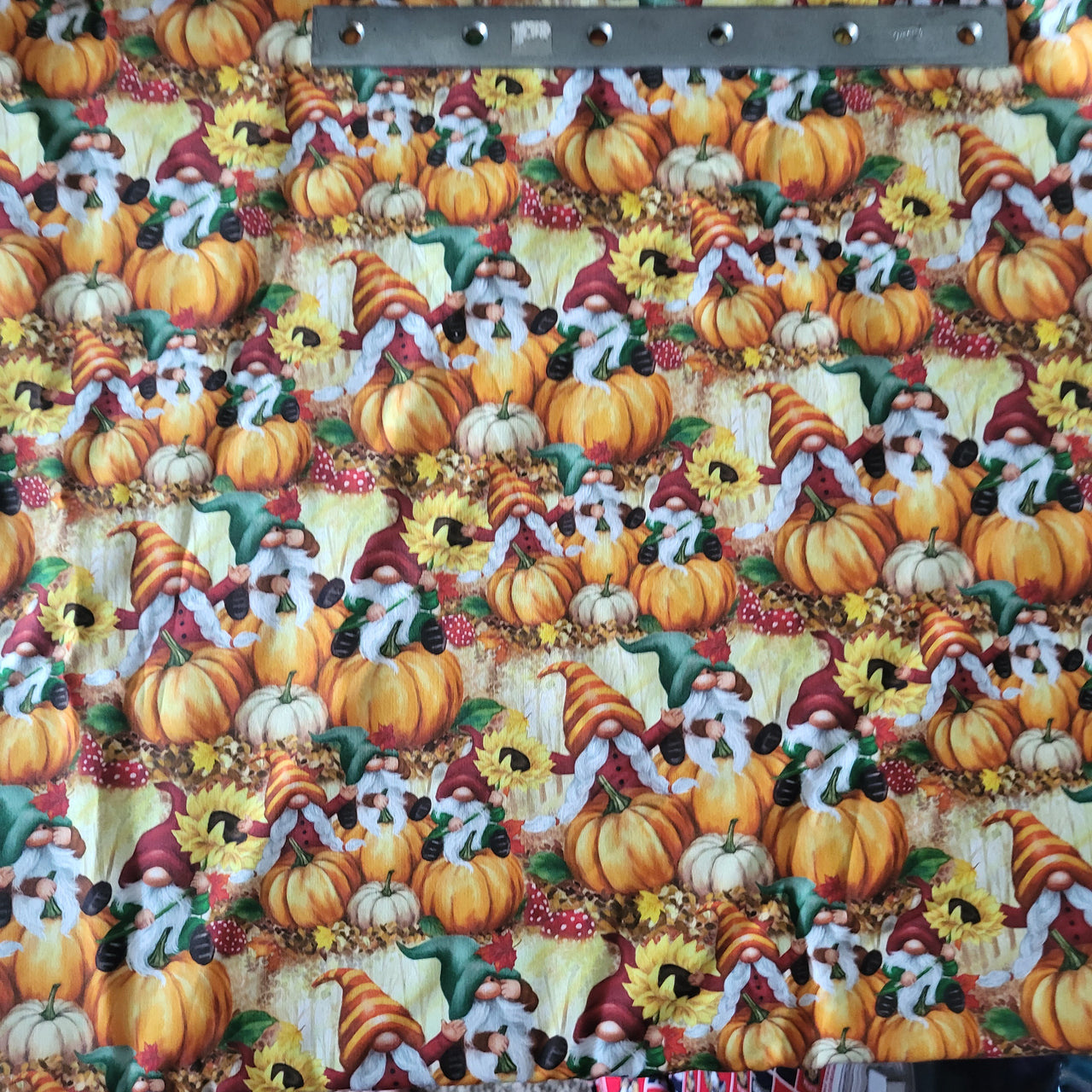 Gnomes Harvest cotton sewing quilting fabric bhy x 43" w pumpkins sunflowers