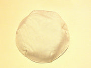 passover reversible saucer kippah or yarmulke -- choose each side matzoh frogs plagues