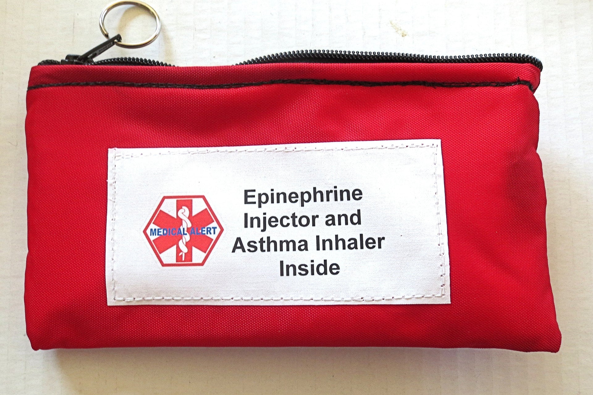epinephrine +asthma alert medications medical label bag zippered insulated case