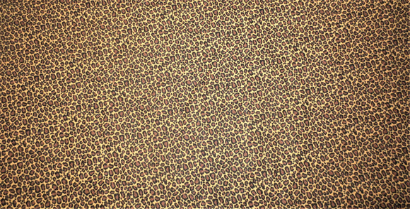 safari or animal skin print cheetah style cotton fabric by the half yard
