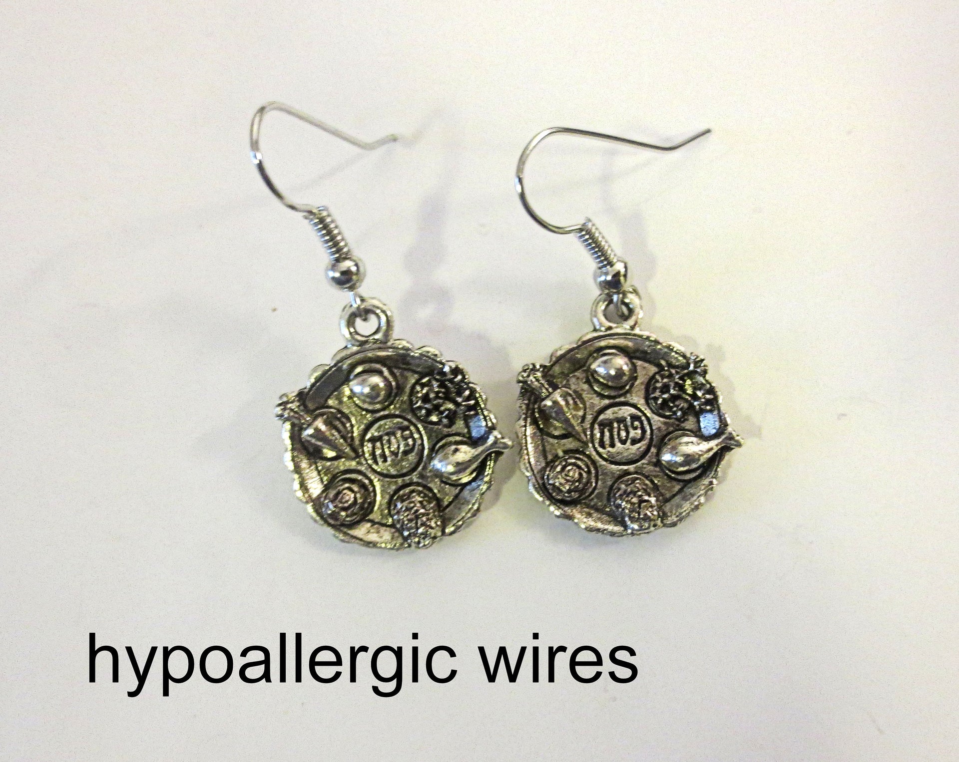passover theme silver earrings seder plates / hypo allergic wires