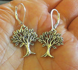 everyday judaica and shabbat silver earrings tree of life / sterling leverbacks