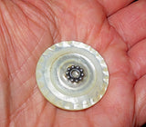 pin or brooch mother of pearl button one of a kind rippled edge double mop with sterling silver bead
