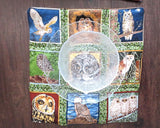owls 9 different species bird lovers set of 2 insulated reversible snack place mats choice of sets owl lovers