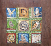 owls 9 different species bird lovers set of 2 insulated reversible snack place mats choice of sets owl lovers