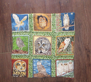 owls 9 different species bird lovers set of 2 insulated reversible snack place mats choice of sets owl lovers