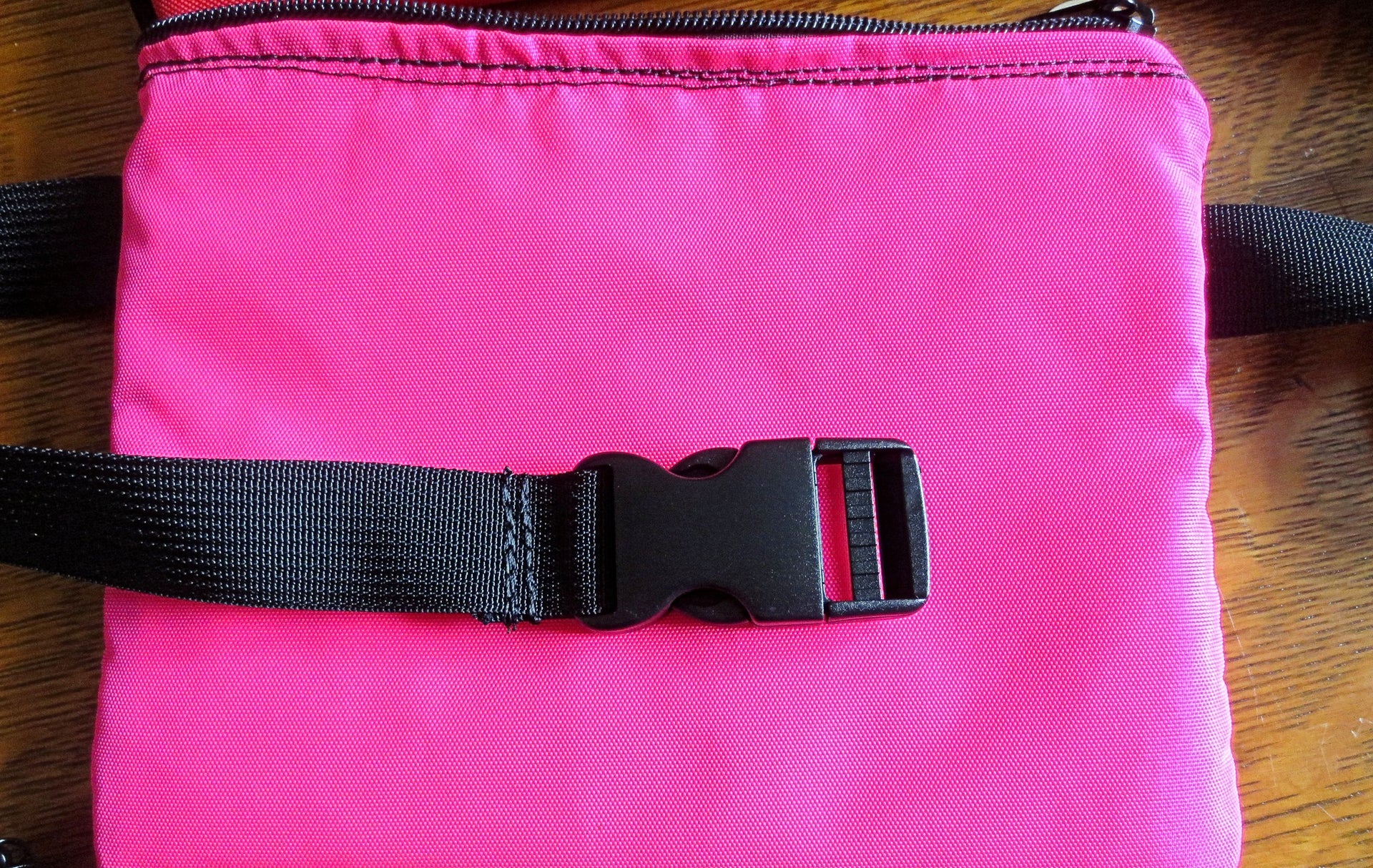 insulated waist pouch bag or pack - great for medications, small electronics, cameras